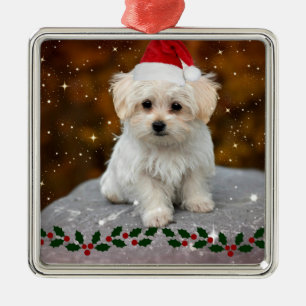 Ornement En Métal Noël des chiots maltais