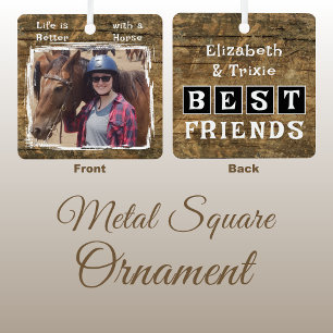 Ornement En Métal Nom photo de l'amant du cheval noir rustique