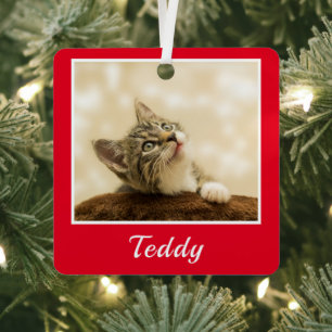 Ornement En Métal Nom photo de l'animal de Noël