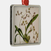 Ornement En Métal Odontoglossum Hastatum (Droite)