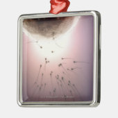 Ornement En Métal Oeuf fertilisé par le sperme (Gauche)