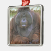 Ornement En Métal Orangoutan Pongo Pygmaeus (Gauche)