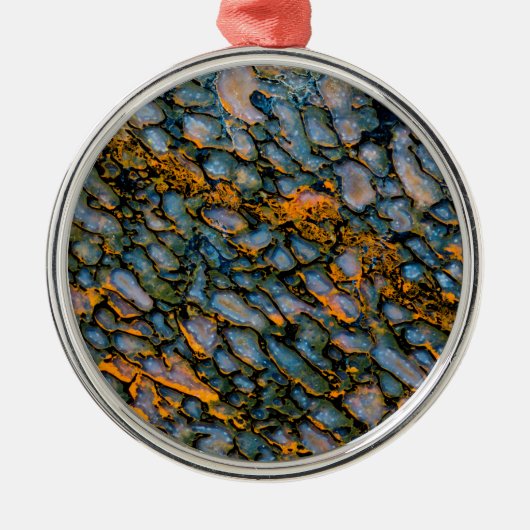 Ornement En Métal Os de dinosaure pétrifié (Devant)