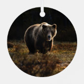 Ornement En Métal Ours (Verso)