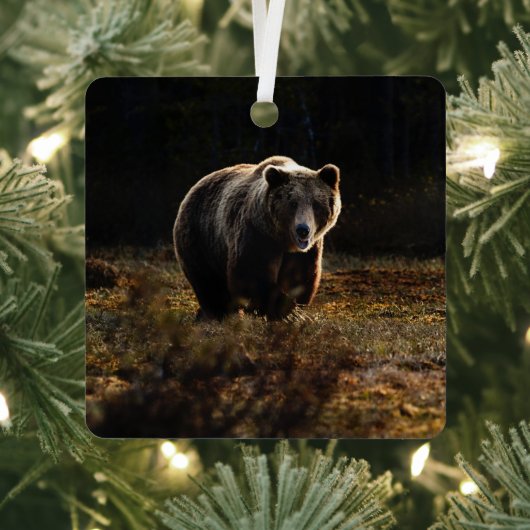 Ornement En Métal Ours (Insitu)