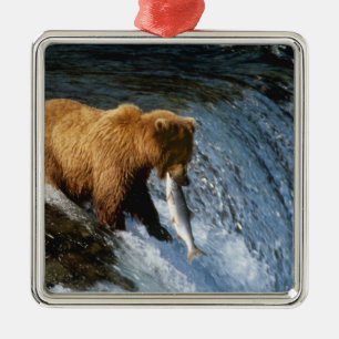Ornement En Métal Ours brun d'Alaska attrapant un saumon à Brooks