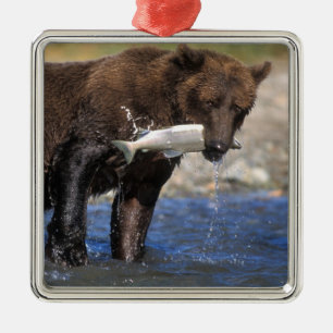 Ornement En Métal Ours brun, grizzly, avec prise de saumon,