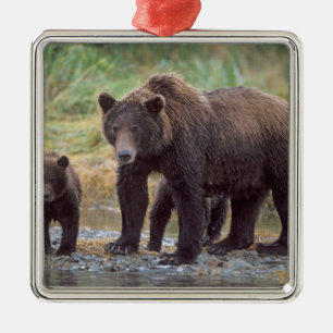 Ornement En Métal ours brun, Ursus arctos, grizzly, Ursus 3