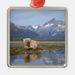 Ornement En Métal ours brun, Ursus arctos, grizzly, Ursus 4