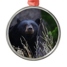 ours noir heureux