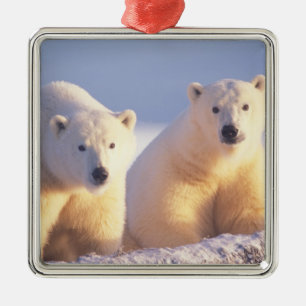 Ornement En Métal Ours polaire femelle avec ourson sur la banquise