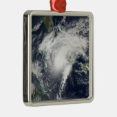 Ornement En Métal Paloma, ouragan (Droite)