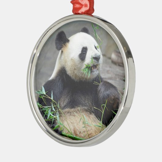 Ornement En Métal Panda géant mangeant du bambou (Gauche)