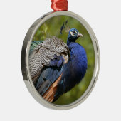 Ornement En Métal Paon indien (Droite)