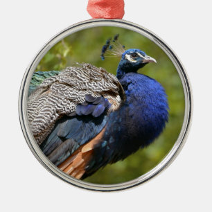 Ornement En Métal Paon indien