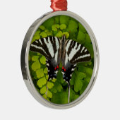 Ornement En Métal Papillon à queue noire américain (Droite)