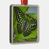 Ornement En Métal Papillon sur fond vert (Droite)
