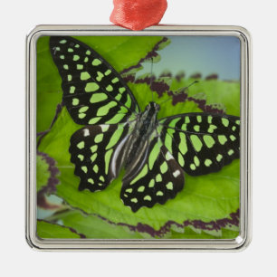 Ornement En Métal Papillon sur fond vert