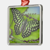 Ornement En Métal Papillon sur fond vert (Gauche)