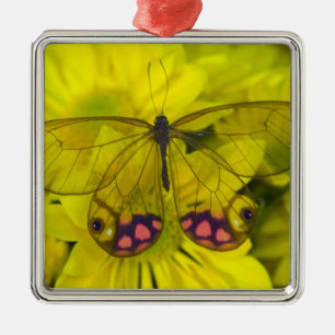 Ornement En Métal Papillon sur jaune