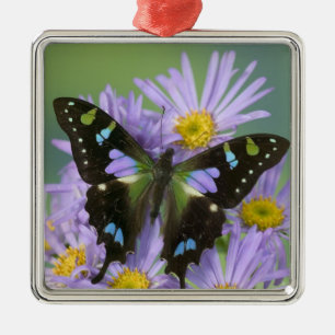 Ornement En Métal Papillon sur Violet