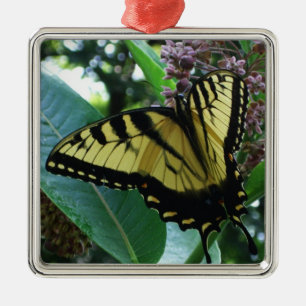 Ornement En Métal Papillon Swallowtail I sur Milkweed à Shenandoah