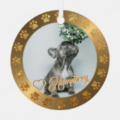 Ornement En Métal Parties scintillant en laiton brossé or Paw Nom de (Recto)