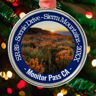 Ornement En Métal Pass CA Pittoresque Drive année Noël Arbre