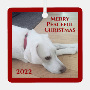 Ornement En Métal Peaceful White Dog Red Collar Christmas