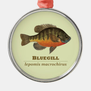 Ornement En Métal Pêche à la Breve de Bluegill