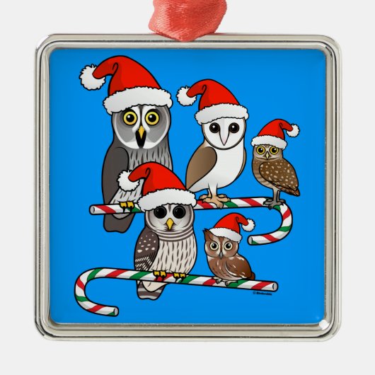 Ornement En Métal Père Noël Owls (Devant)