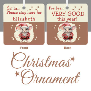 Ornement En Métal Père Noël s'arrêter ici nom mignon souris brun