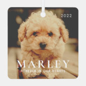 Ornement En Métal Pet Memorial Forever Hearts Simple Elegant Photo (Verso)