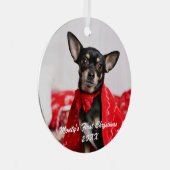 Ornement En Métal Pet Premier Noël (Avant droite)