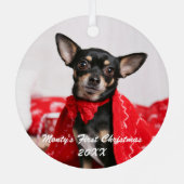 Ornement En Métal Pet Premier Noël (Verso)