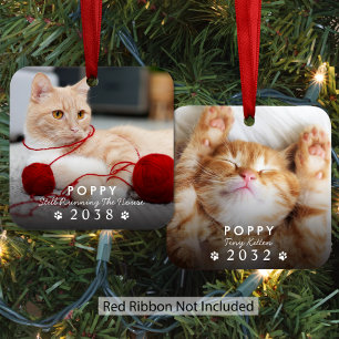 Ornement En Métal Photo de Noël de chat d'autrefois et d'aujourd'hui