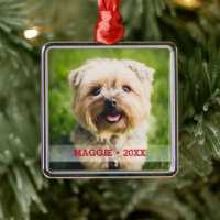 Photo personnalisée pour animal de compagnie adora