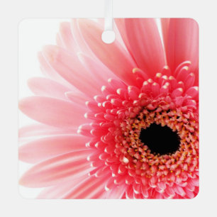 Ornement En Métal Photographie de gerbera rose frais
