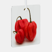 Ornement En Métal Pimento doux (Avant droite)