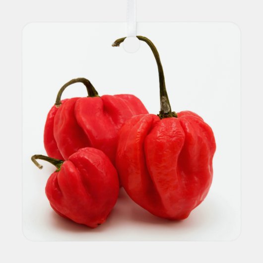 Ornement En Métal Pimento doux (Recto)