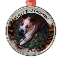 Pinecones Première photo de Noël de l'animal de co