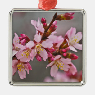 Ornement En Métal Pink Against A Gray Sky Japanese Cherry Blossoms