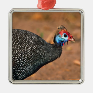Ornement En Métal Pintade huppée (Numida meleagris). Afrique,