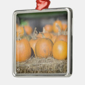 Ornement En Métal Plan rapproché des citrouilles (Gauche)