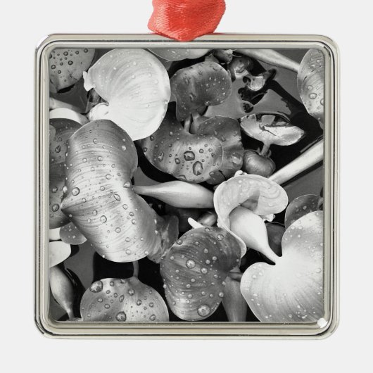 Ornement En Métal Plantes d'étang et noir et blanc (Devant)