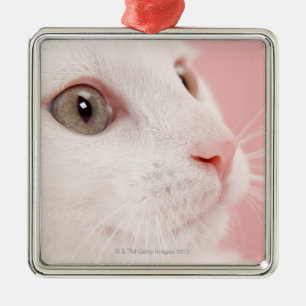 Ornement En Métal Portrait de chat