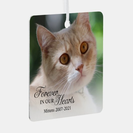 Ornement En Métal Pour toujours dans nos coeurs photo de chat (Avant droite)