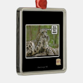 Ornement En Métal Pourquoi les chiens trouvent-ils ceci si difficile (Droite)