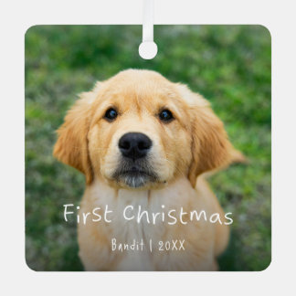 Ornement En Métal Premier Noël Photo Personnalisée de l'Animal de Co