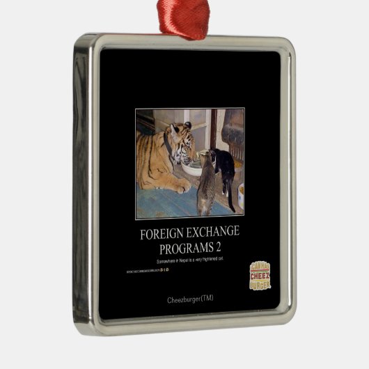 Ornement En Métal Programmes de devises étrangères 2 (Droite)